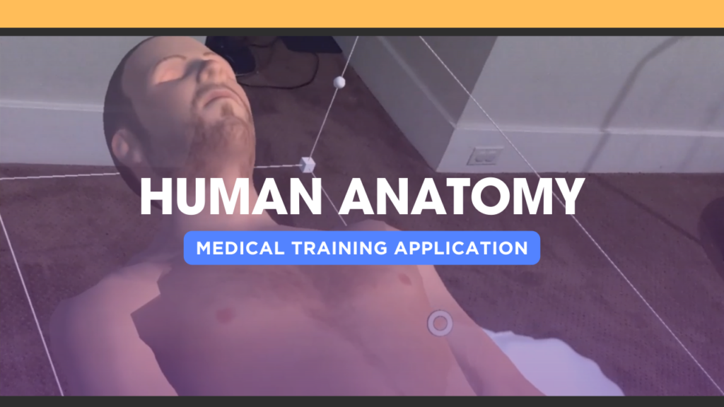 MR Human Anatomy